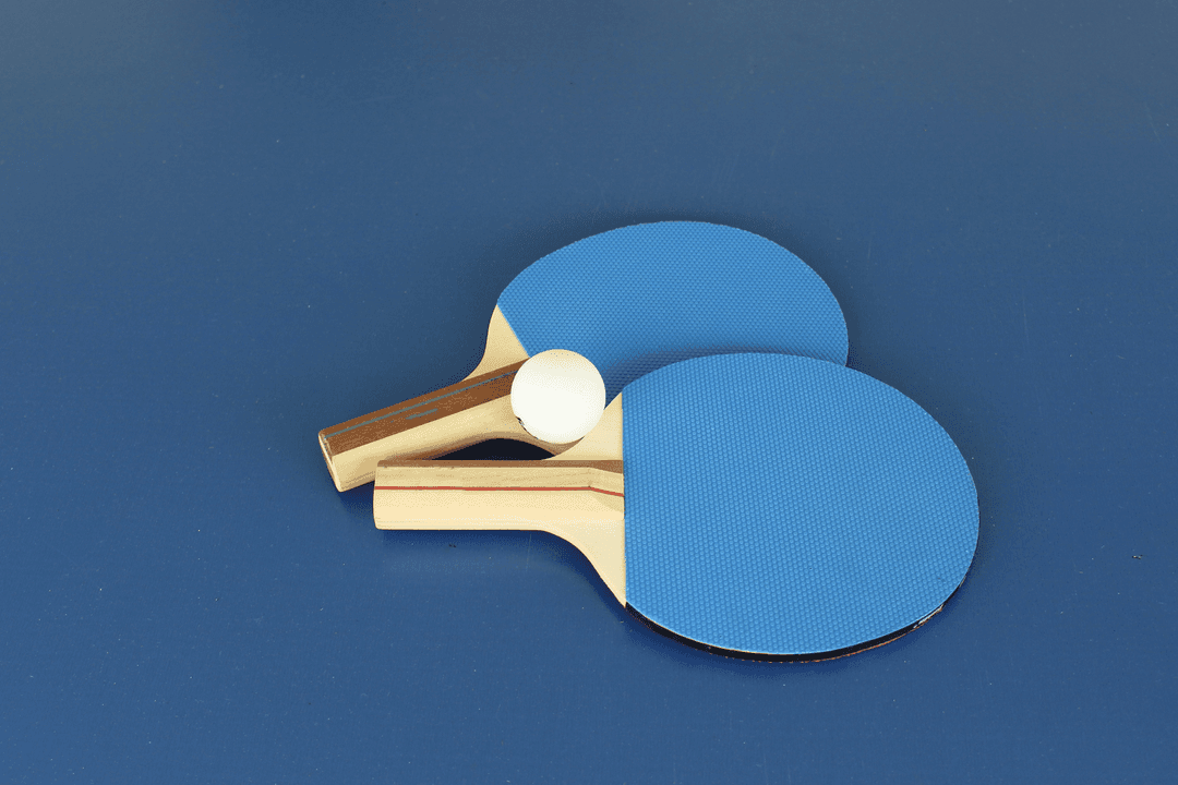 Ping Pong Table