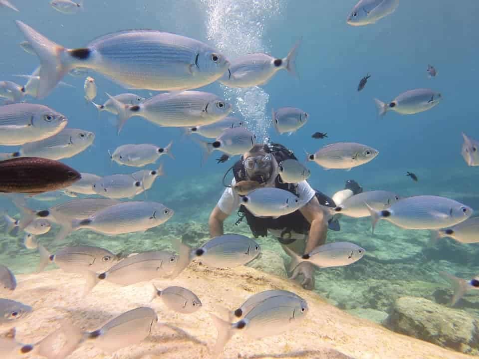 Dragon Divers - Scuba Diving Cyprus