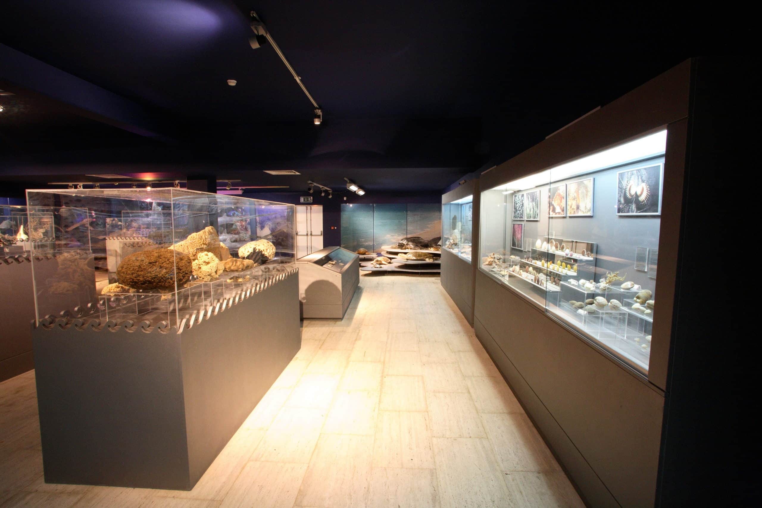Thalassa Museum