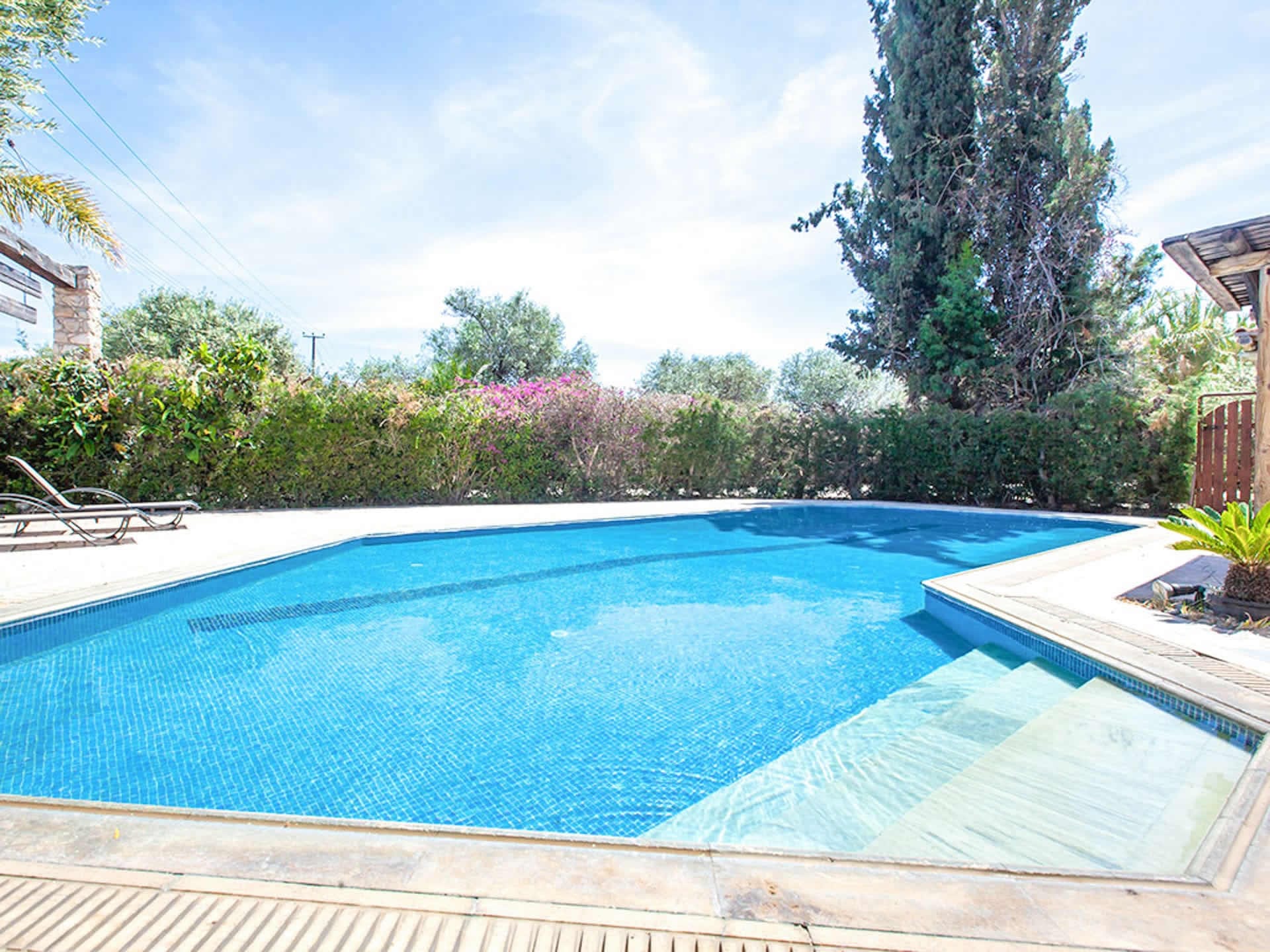 Villa Lavida - 3 bedroom villa in Latchi, Paphos, Cyprus - photo 1
