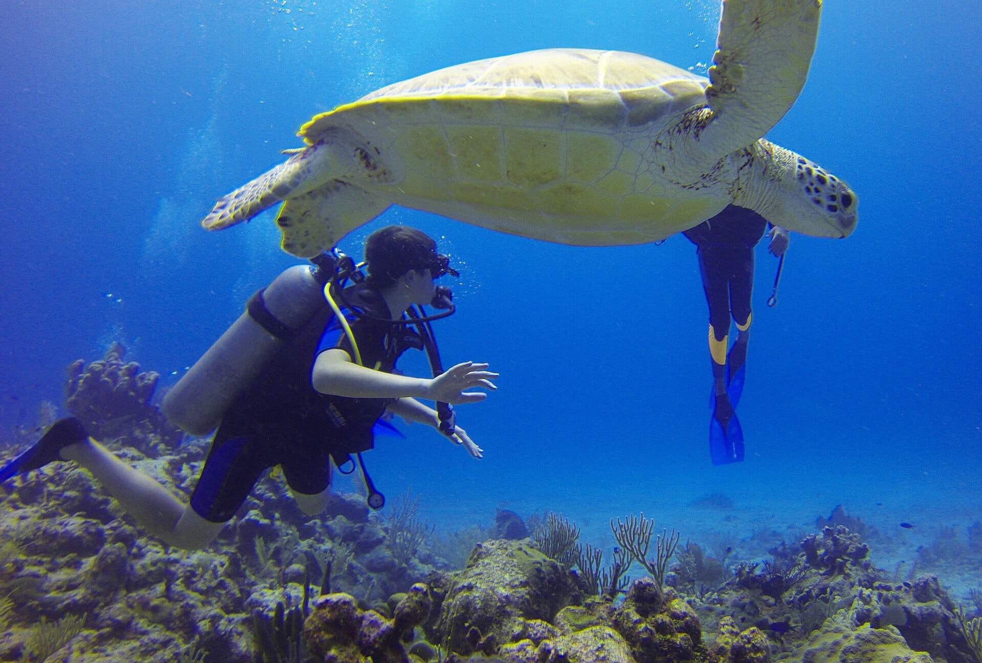 Diving in Cyprus