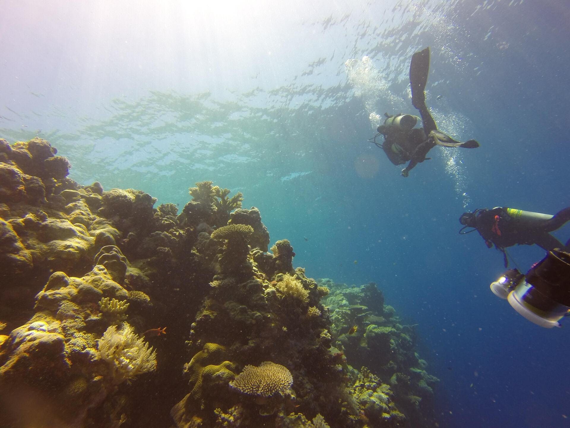 Diving in Cyprus