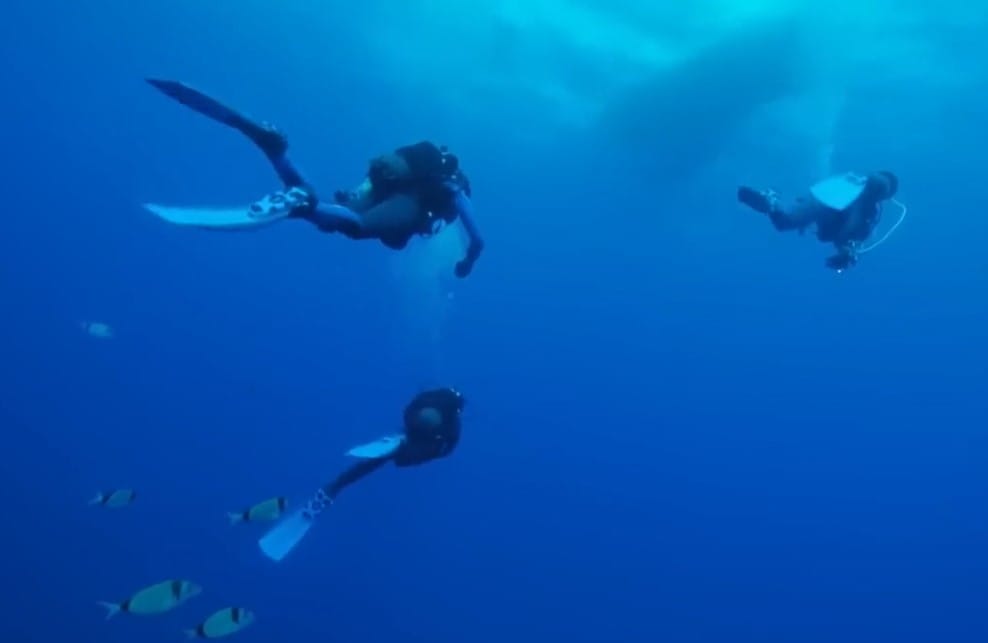 Zenobia Wreck
