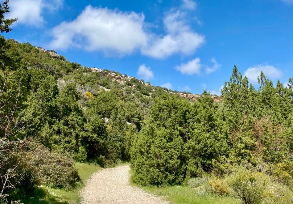 Avakas Gorge Nature Trail