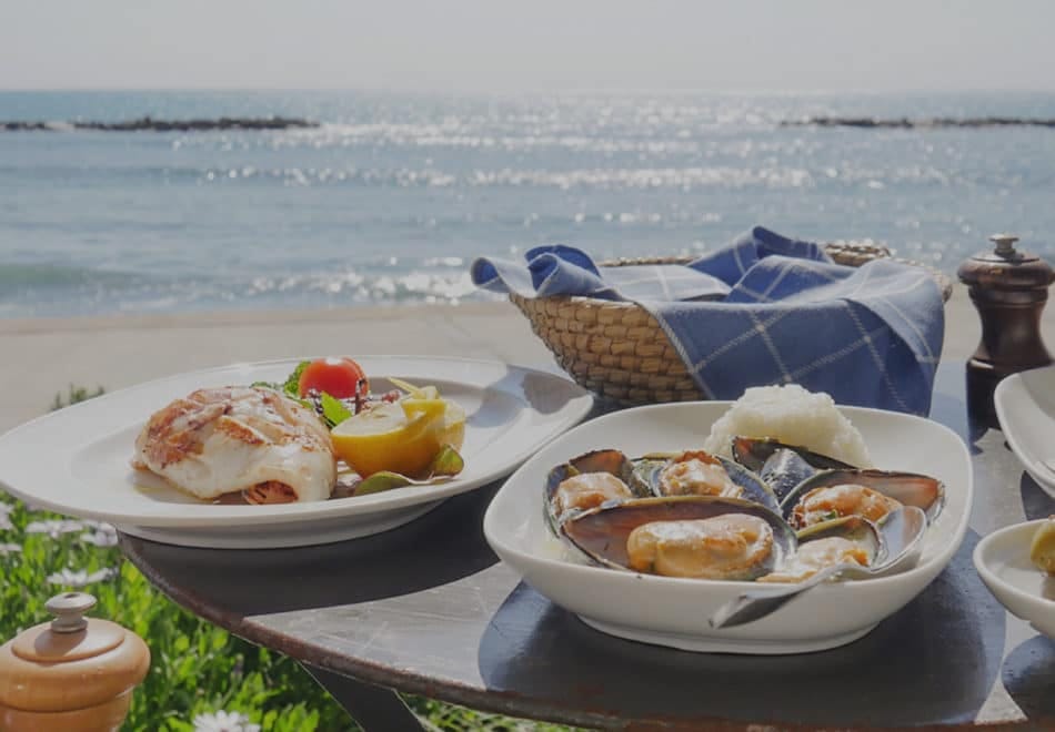 Explore Cyprus