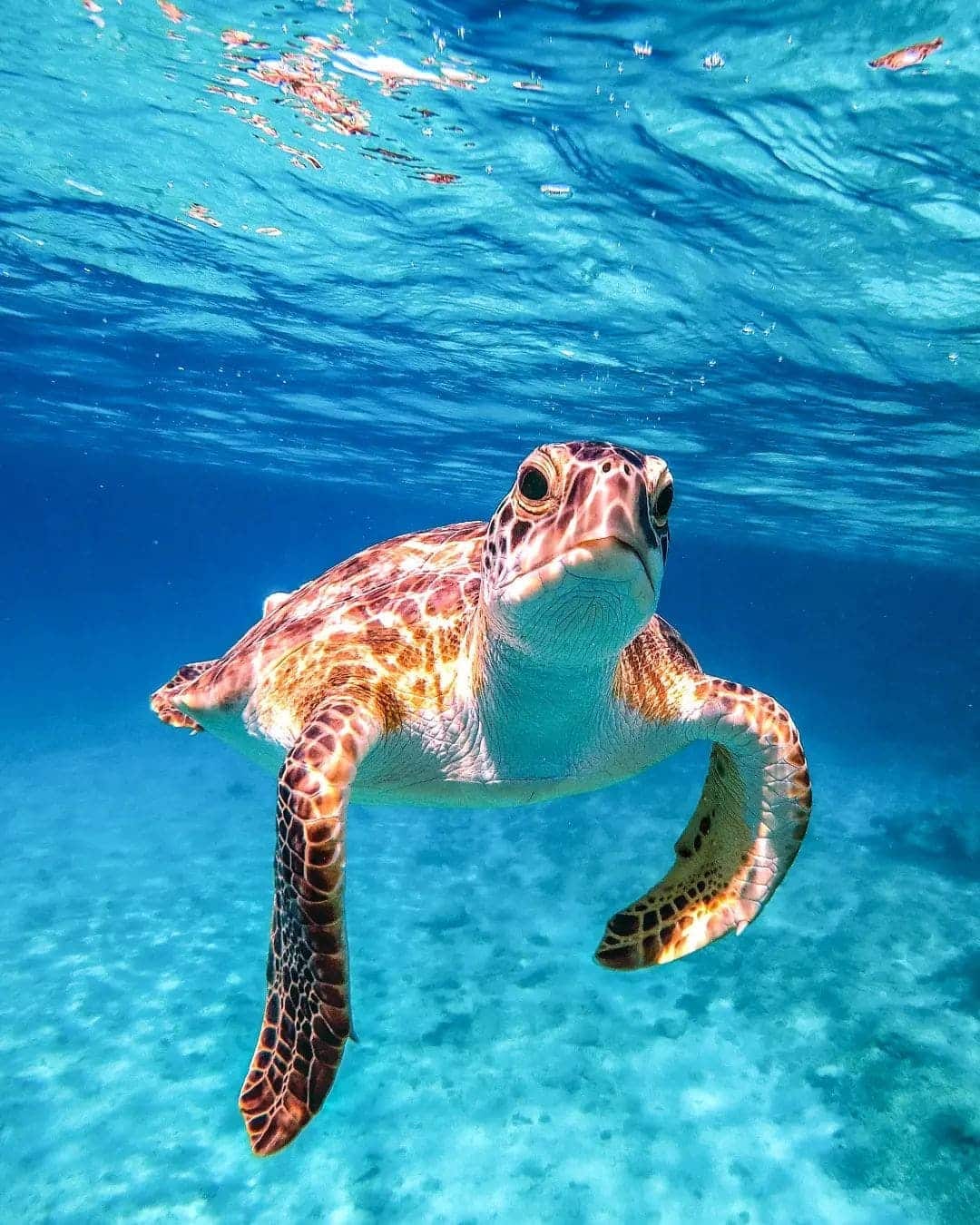 Protaras Underwater Journeys