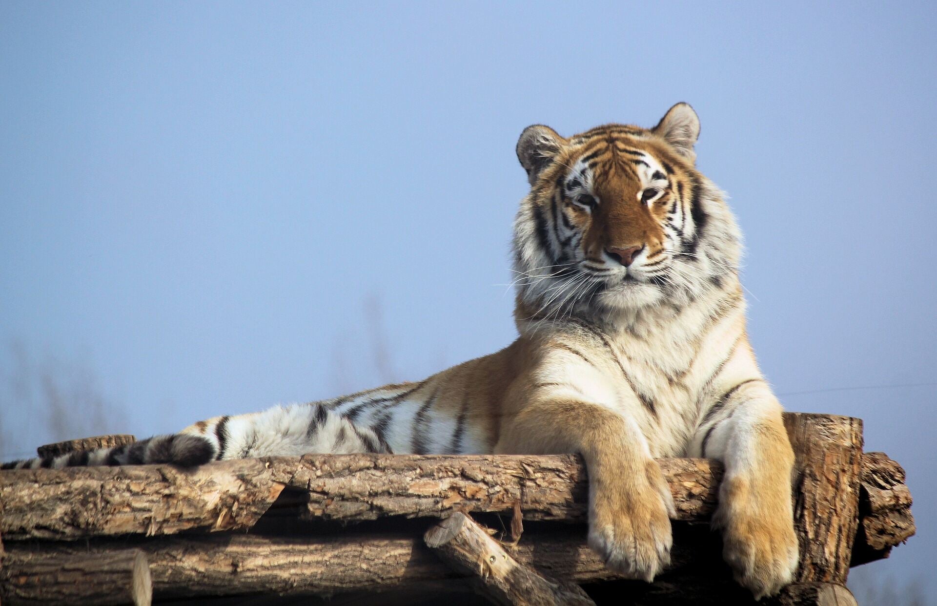 Pafos Zoo