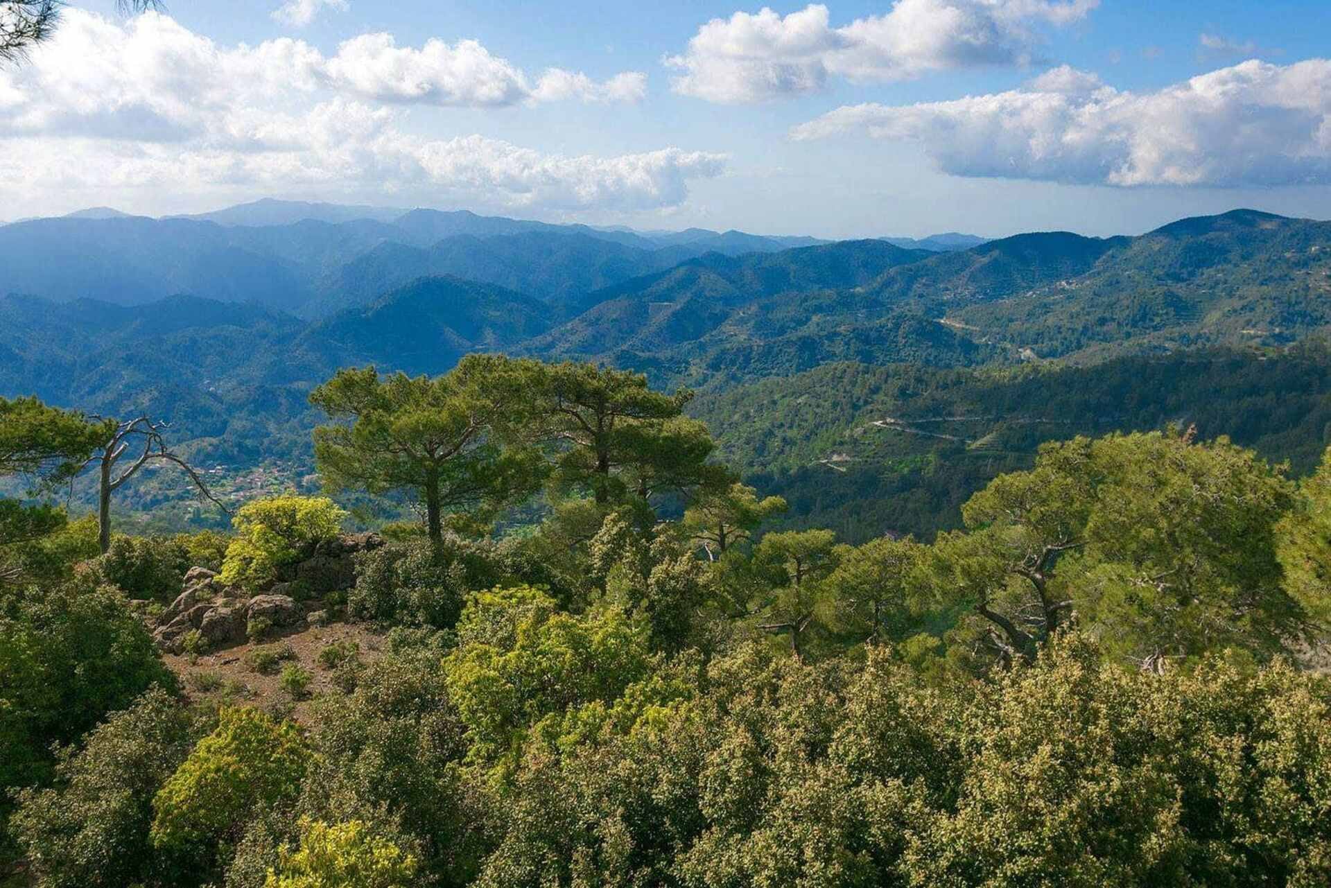 Troodos Mountain