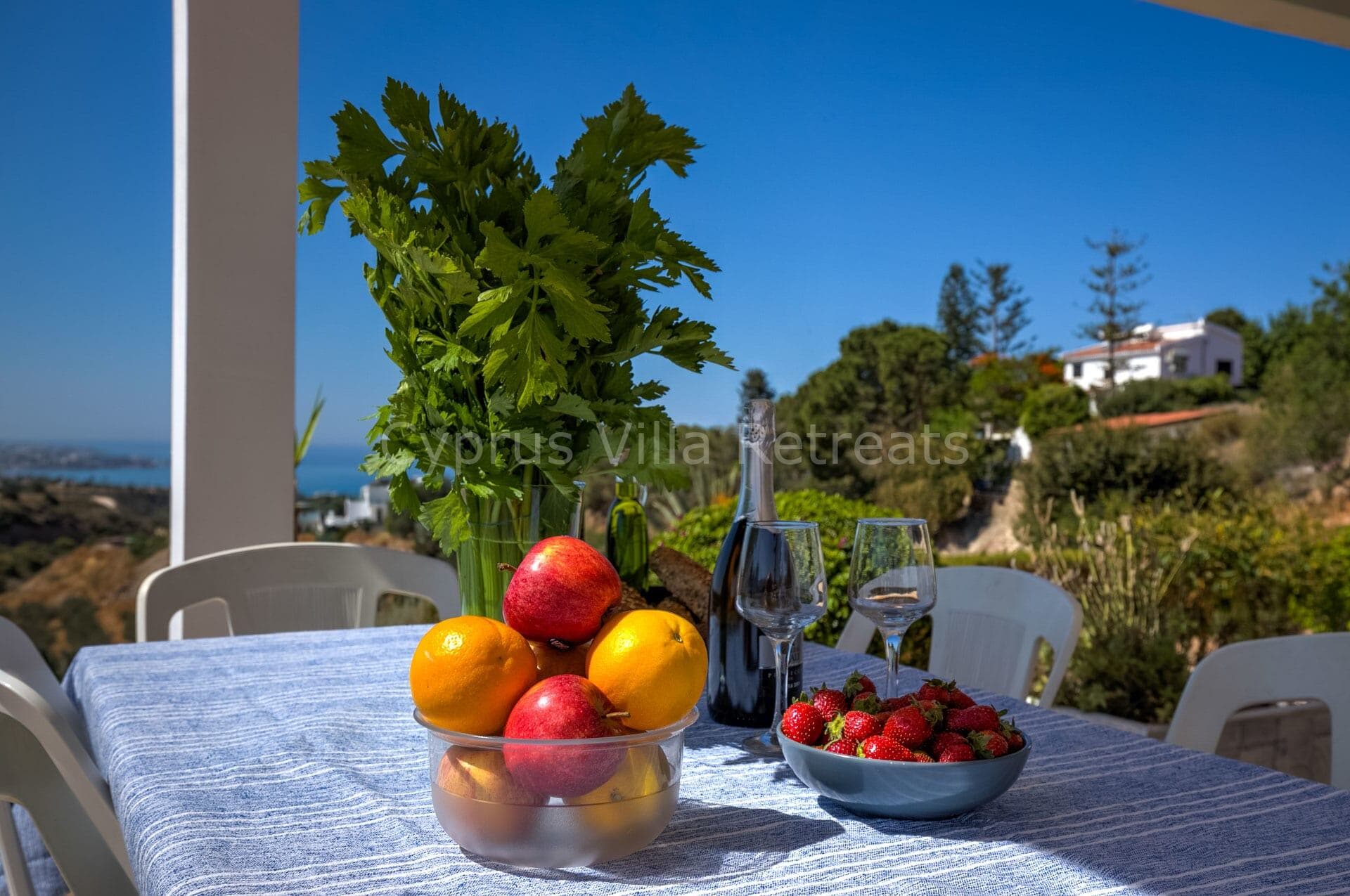 Villa Serenity - 3 bedroom villa in Coral Bay, Paphos, Cyprus - photo 3
