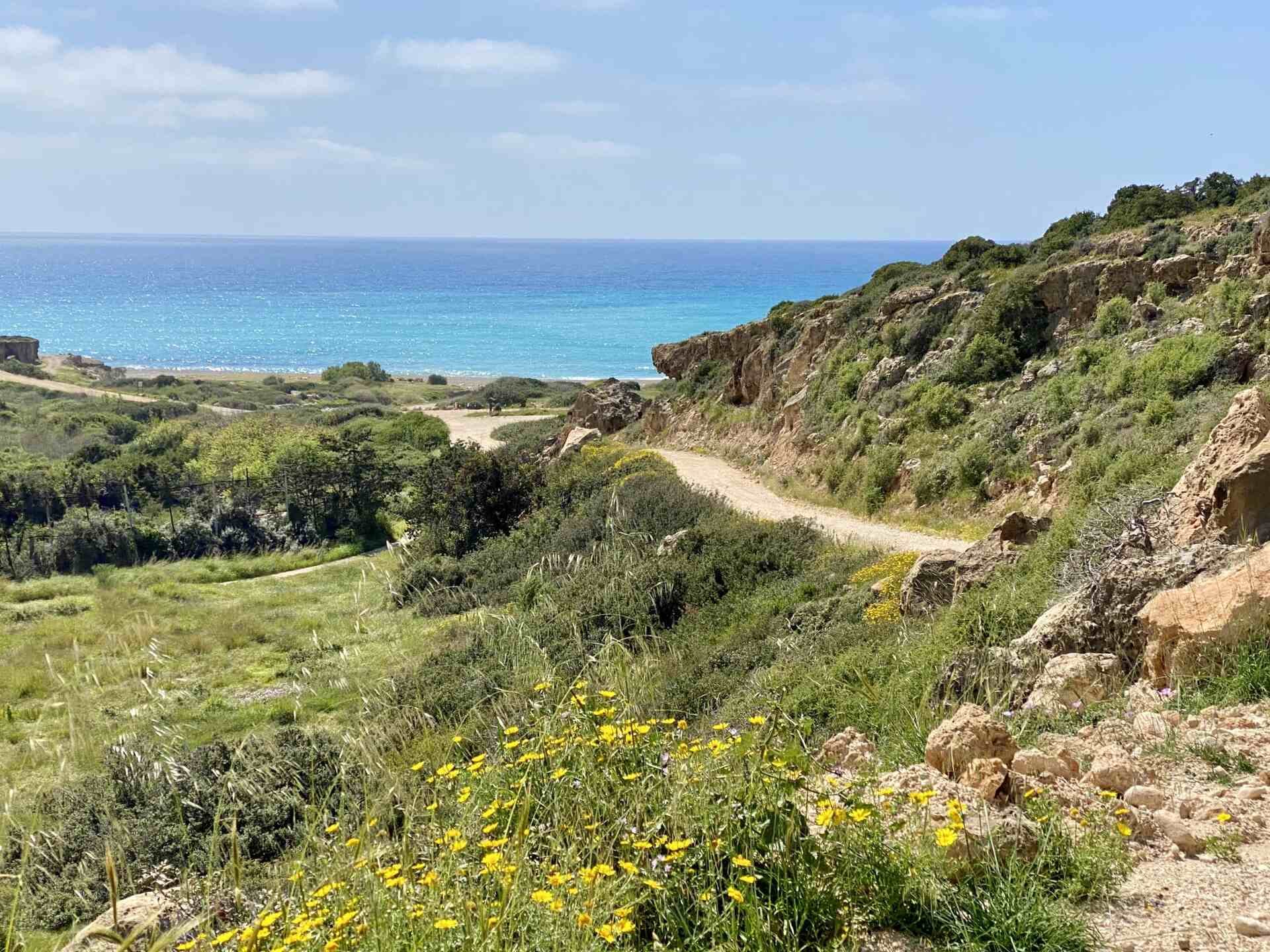 Avakas Gorge Nature Trail